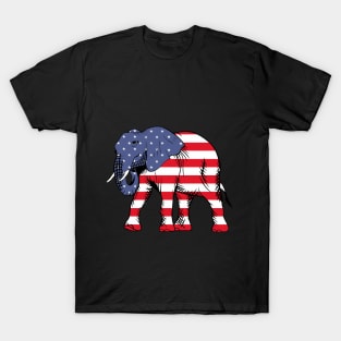 America T-Shirt